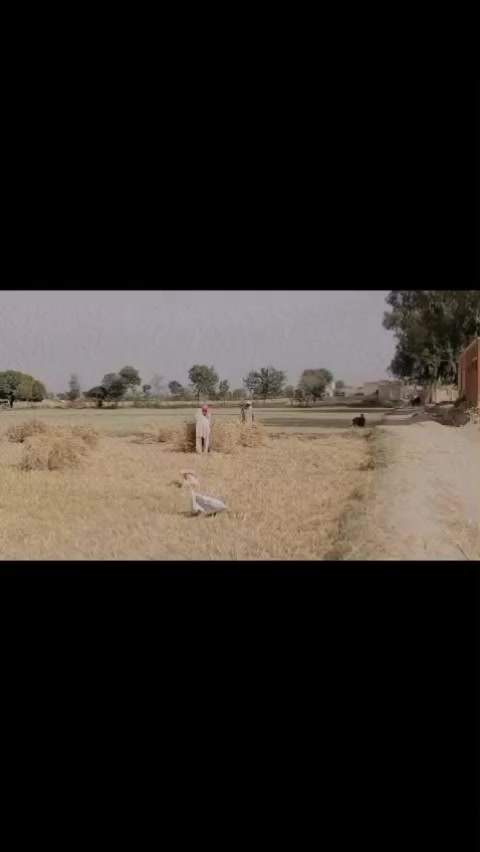 @Ali