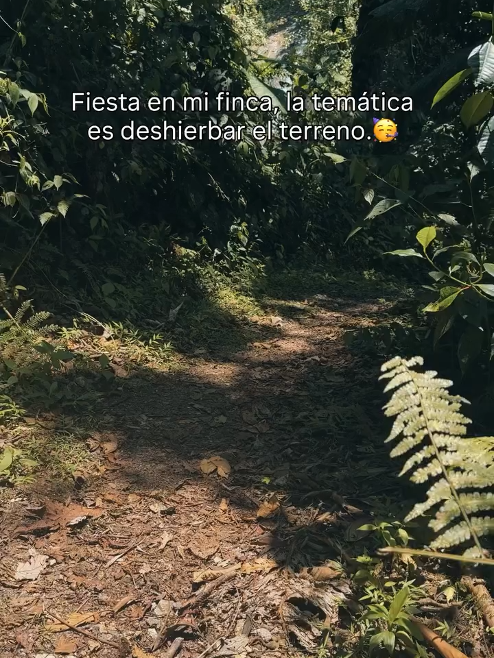 @Misiones Nuestro Lugar