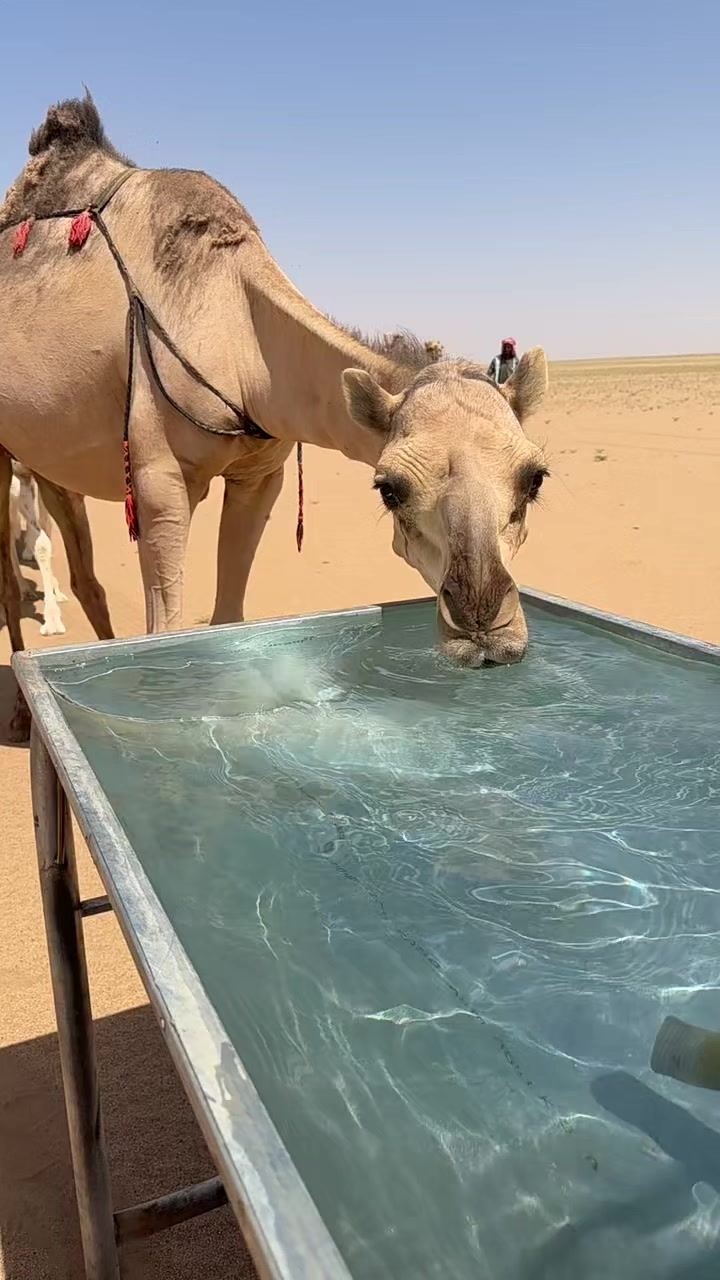 @فذكر فإن الذكرى تنفع المؤمنين