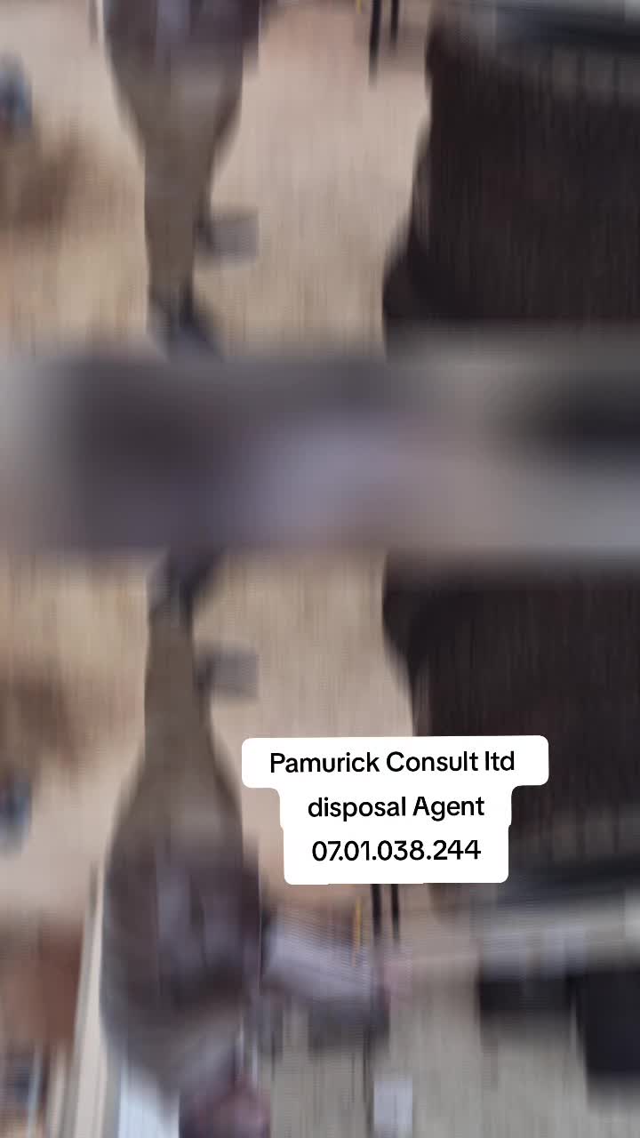 @pamurickshow