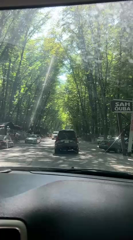 @Vadim 7.6.1