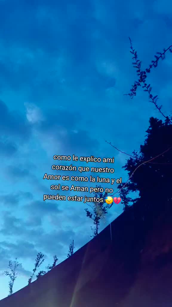 @pat castillo