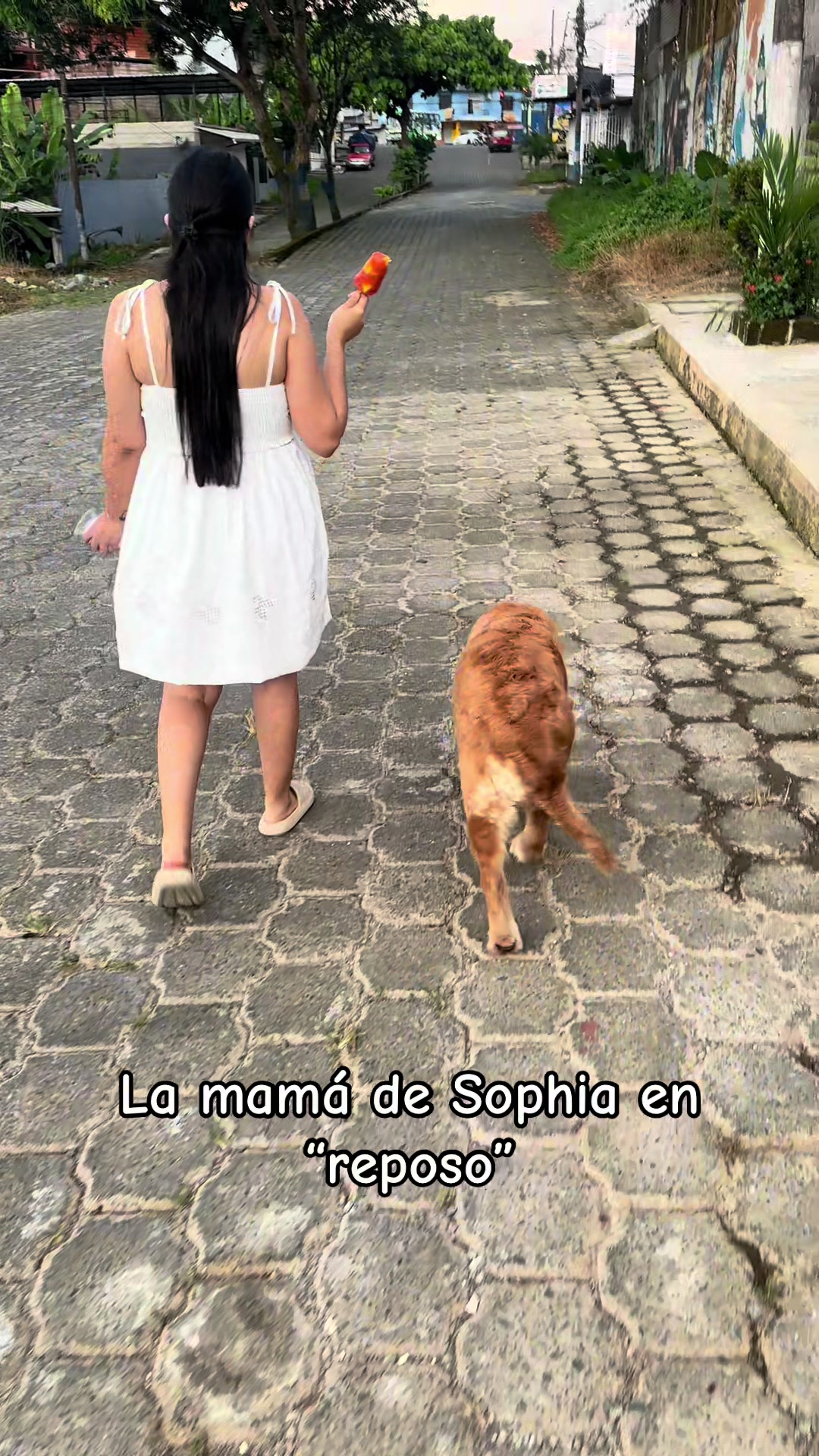 @Emilio Gavilanez