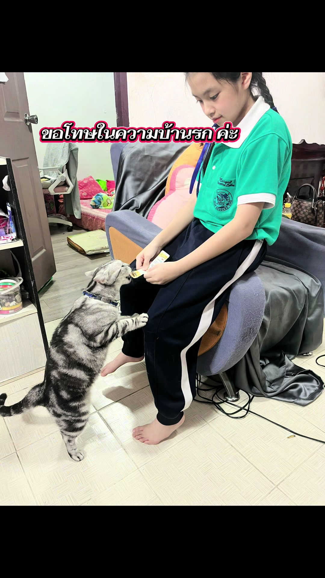 @เซลล์เจี๊ยบ เต้นท์มังกร(พัทยา)