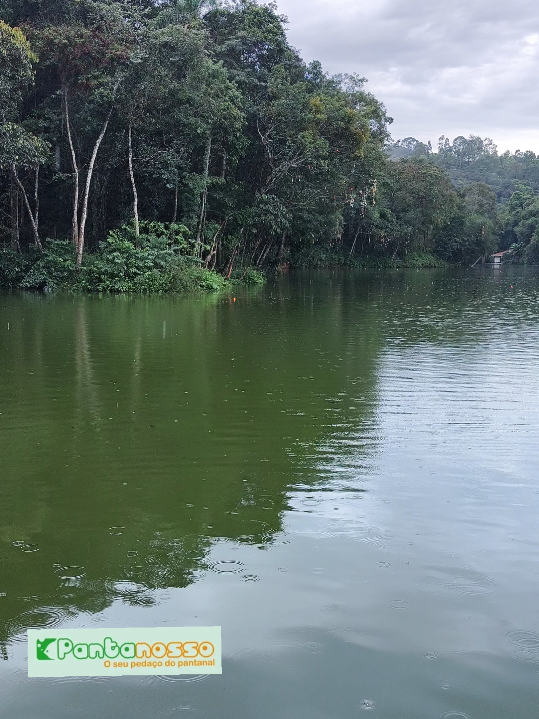 @Patr&atilde;o da Pesca