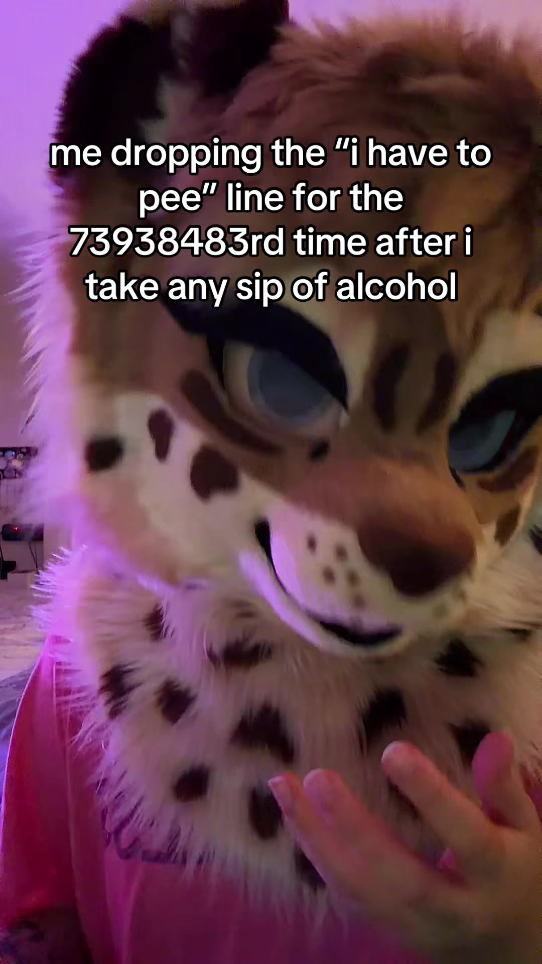 @Amyquel