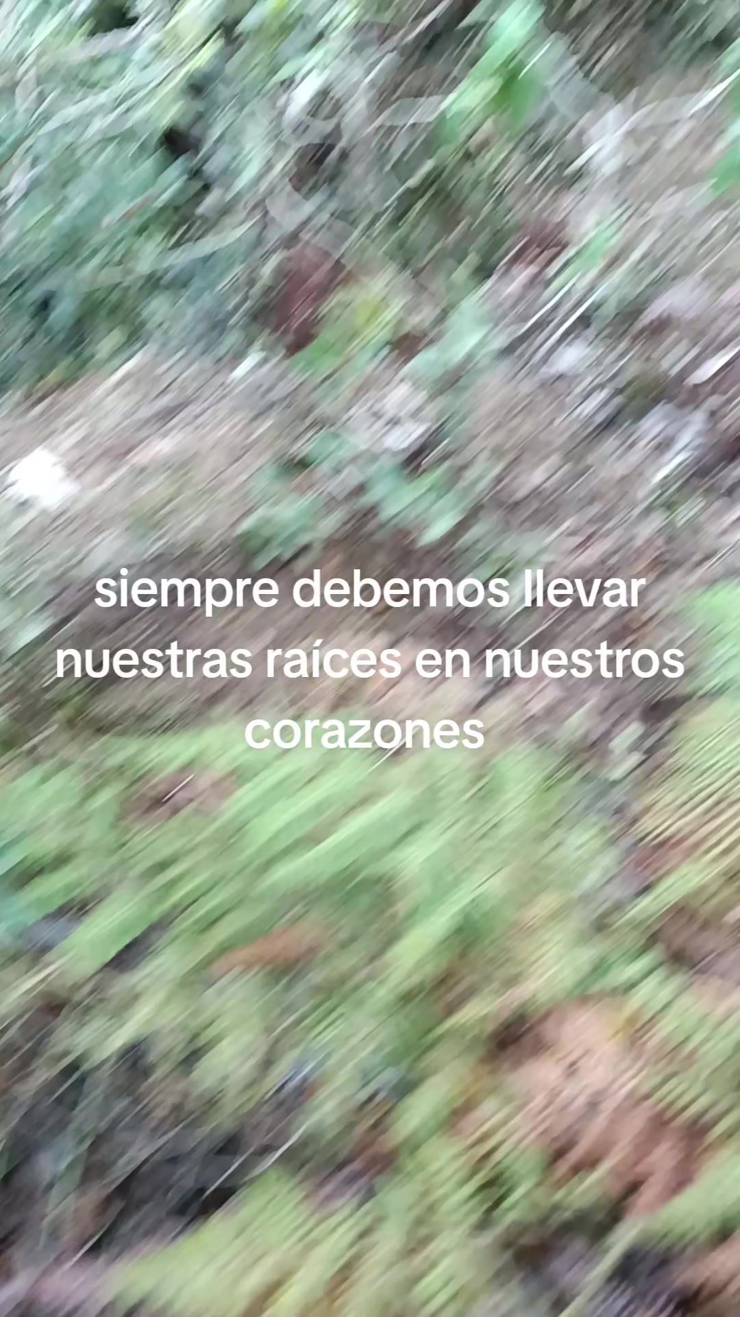 @Marisa😍🇵🇪🌿