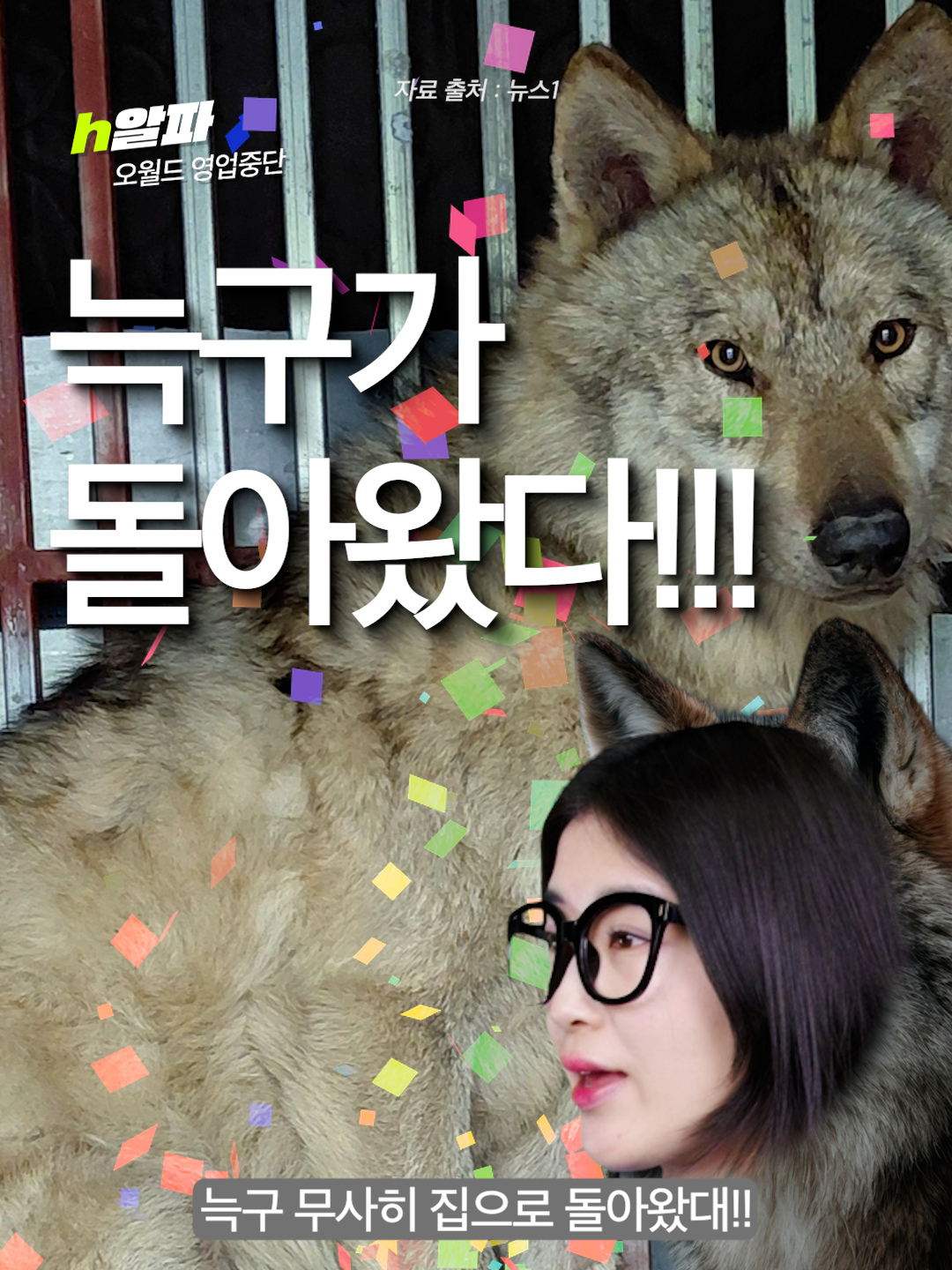 @휙알파 huick