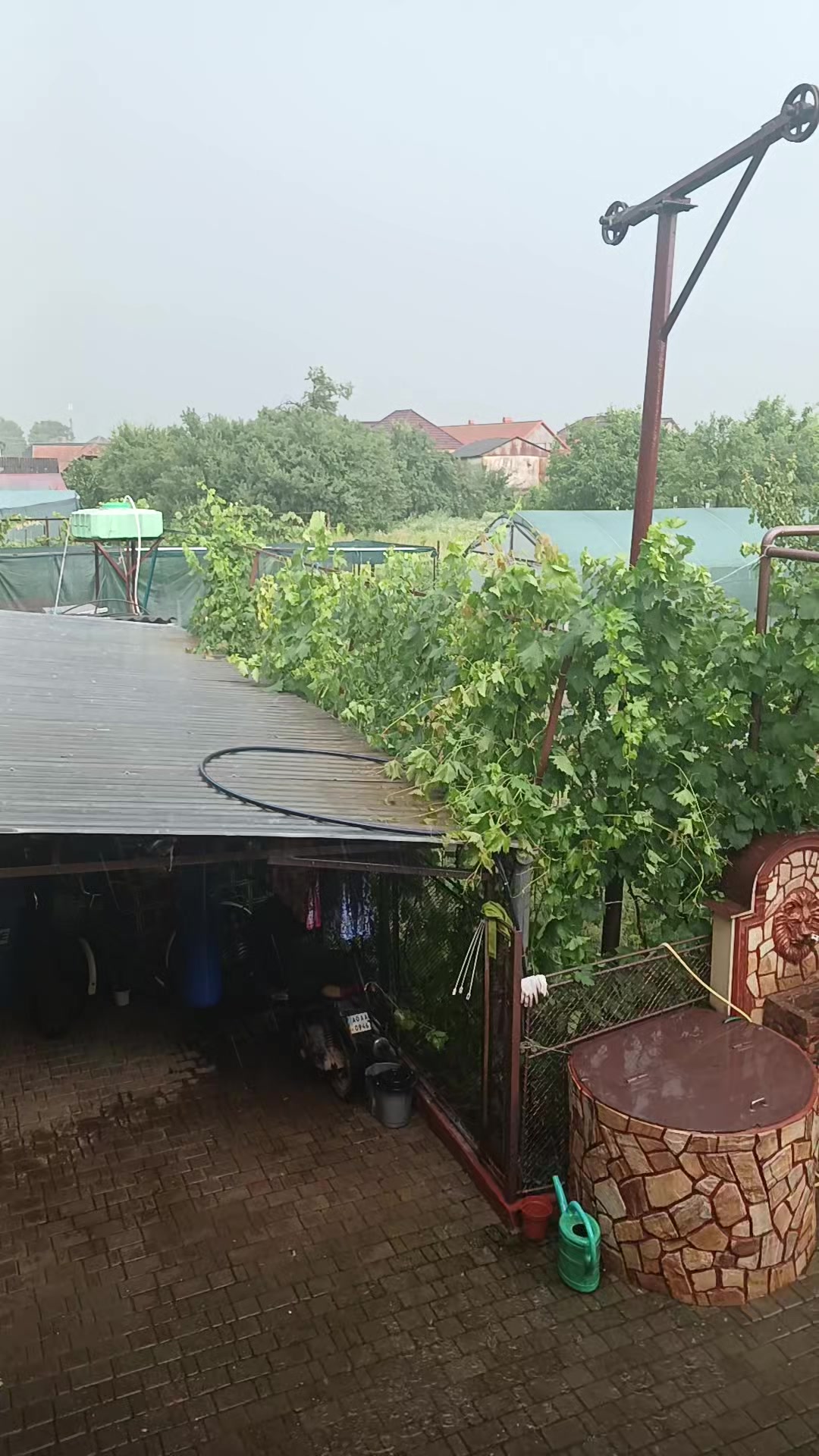 @Андрій Закарпаття🥰🥰🥰