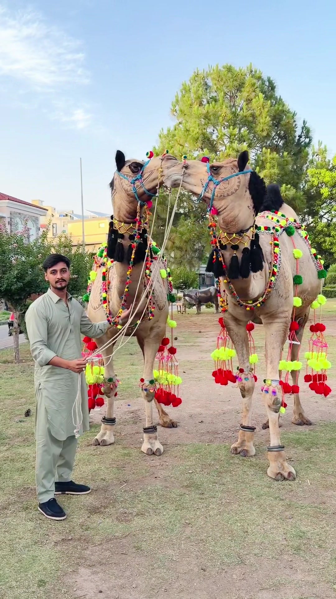 @Daniyal&ensp;kashif