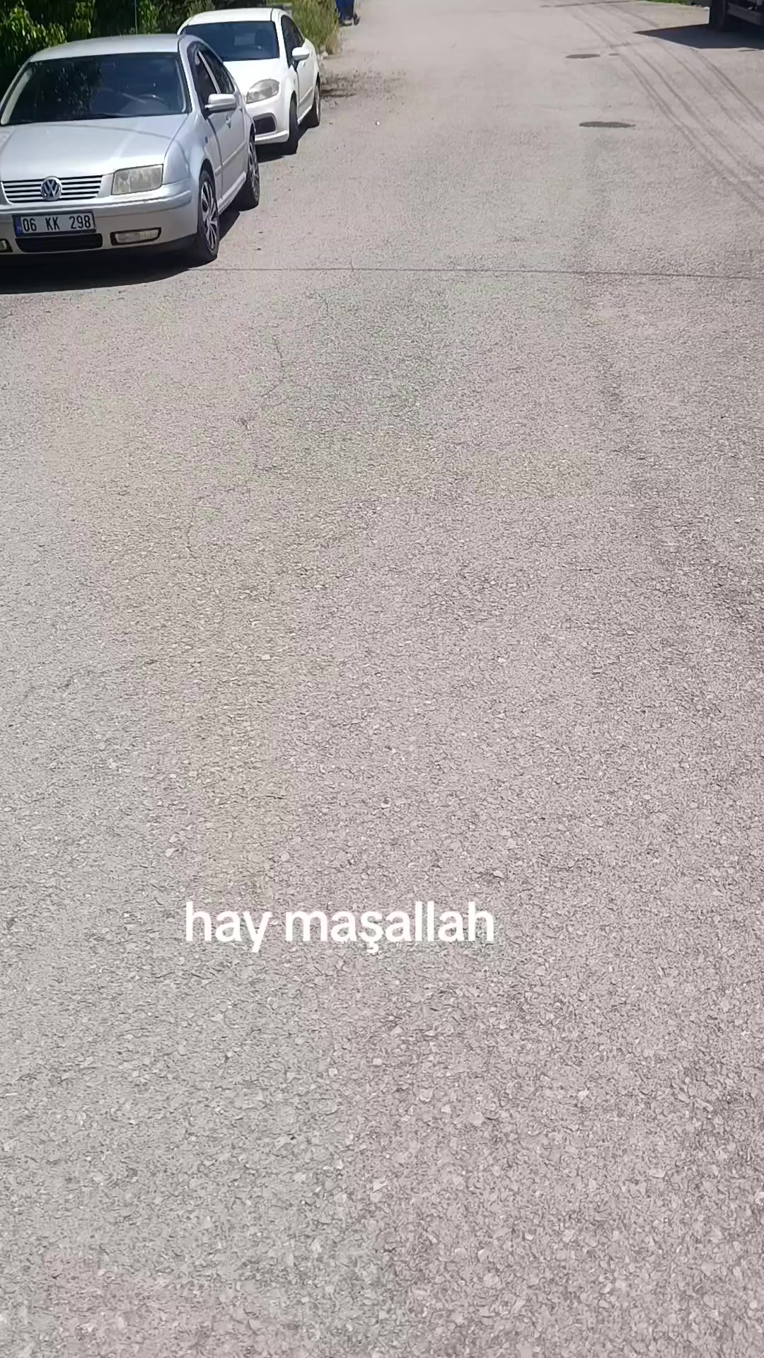 @zalimin kızı 06