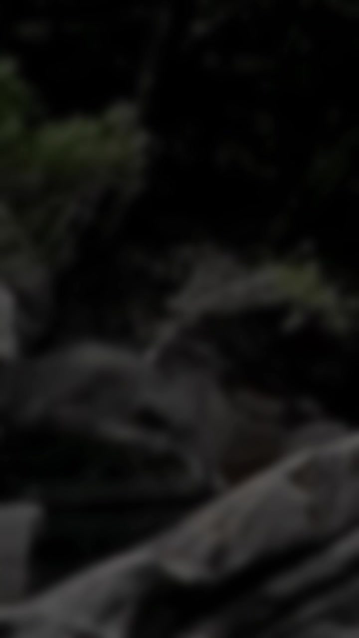 @𝕵𝖆𝖓𝖎𝖙𝖍.𝕹𝕵