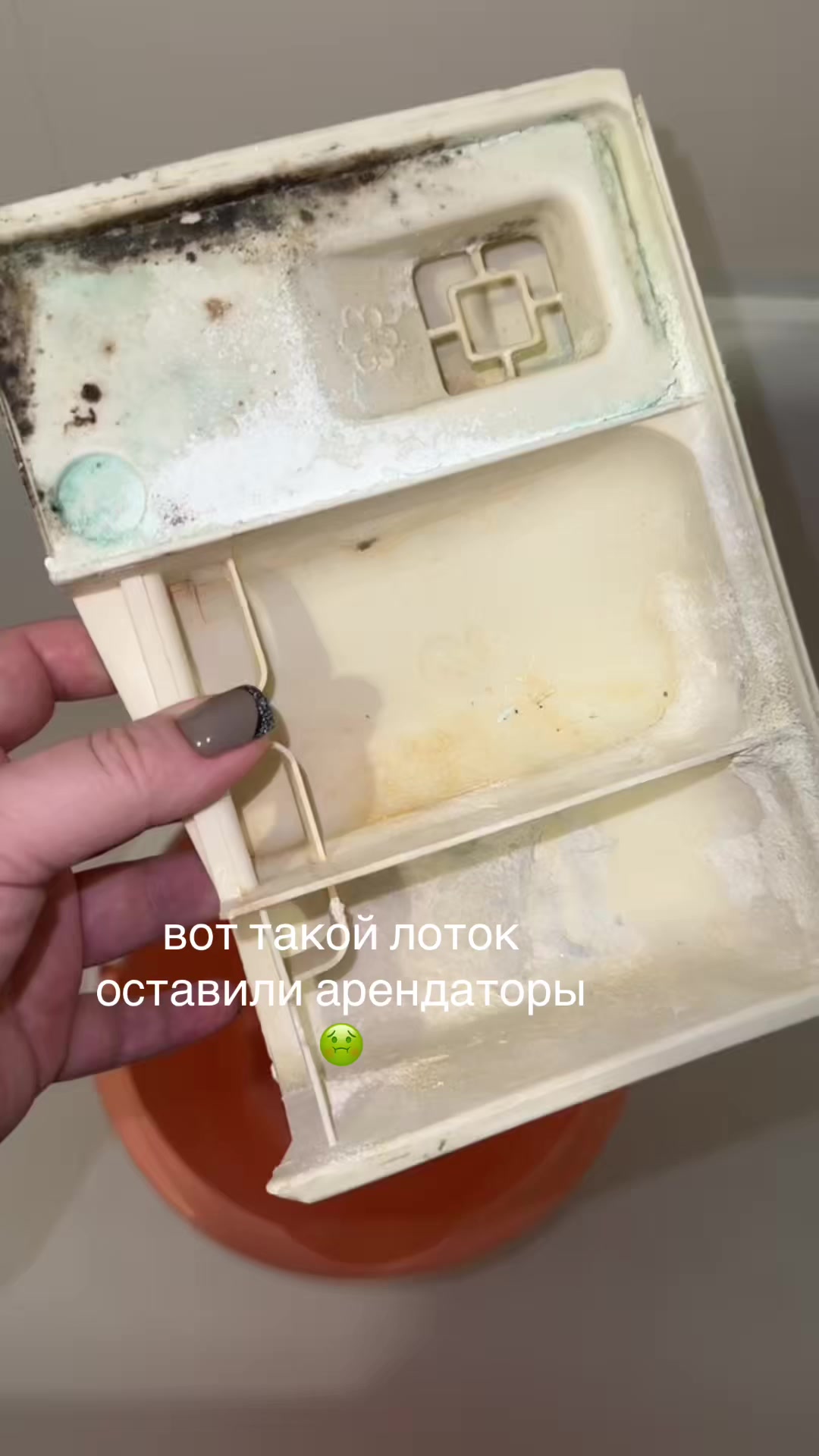 @Katusha_ASMR