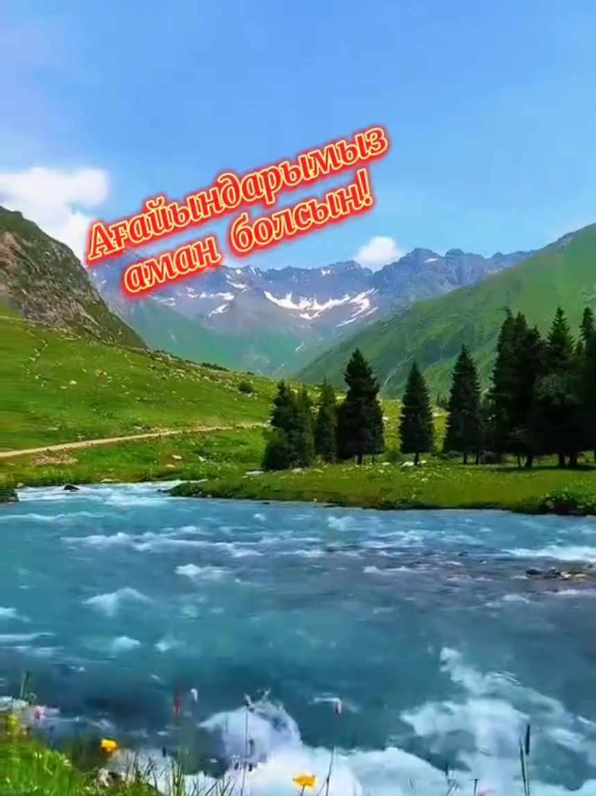 @Зулхумар Курбанбекова⭐️⭐️🔥