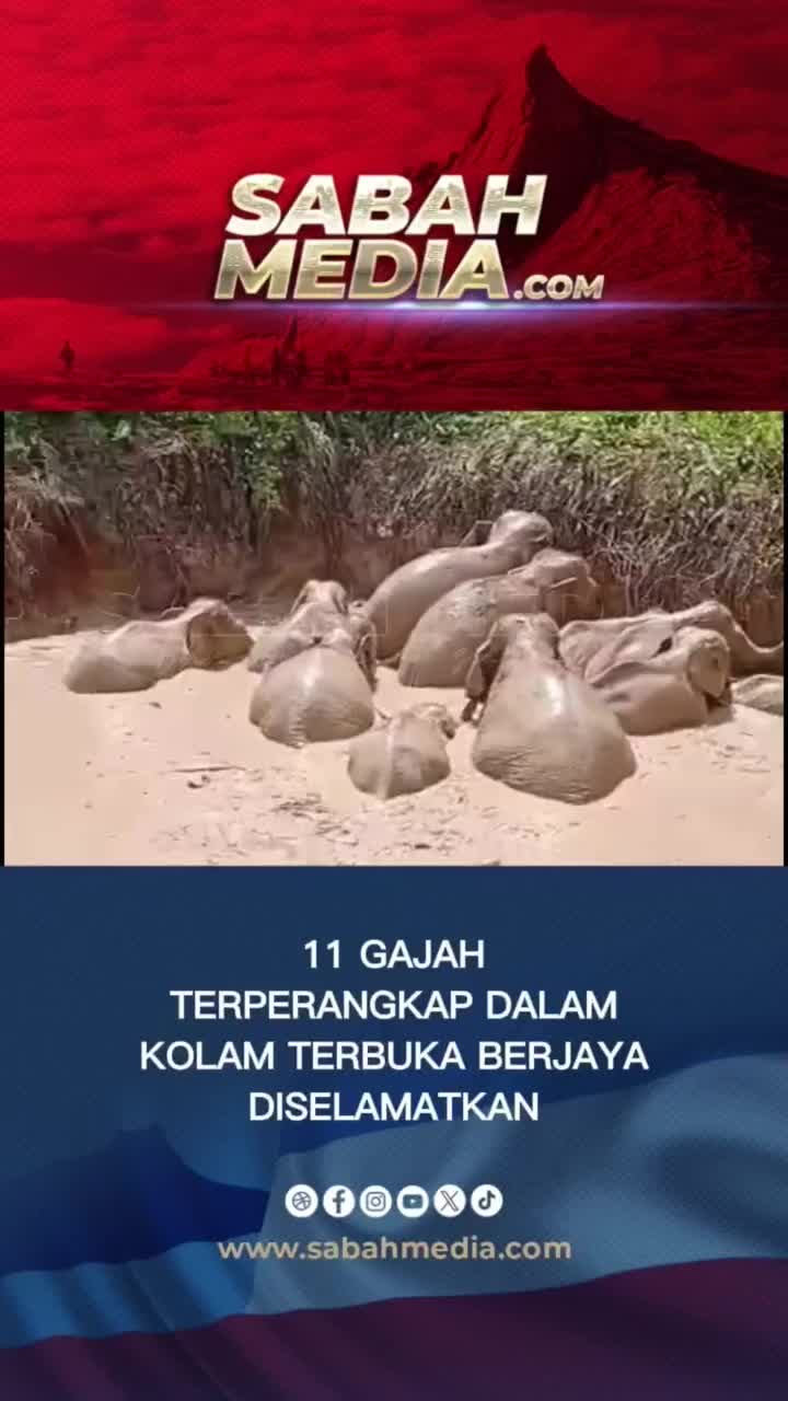 @Sabah Media Official