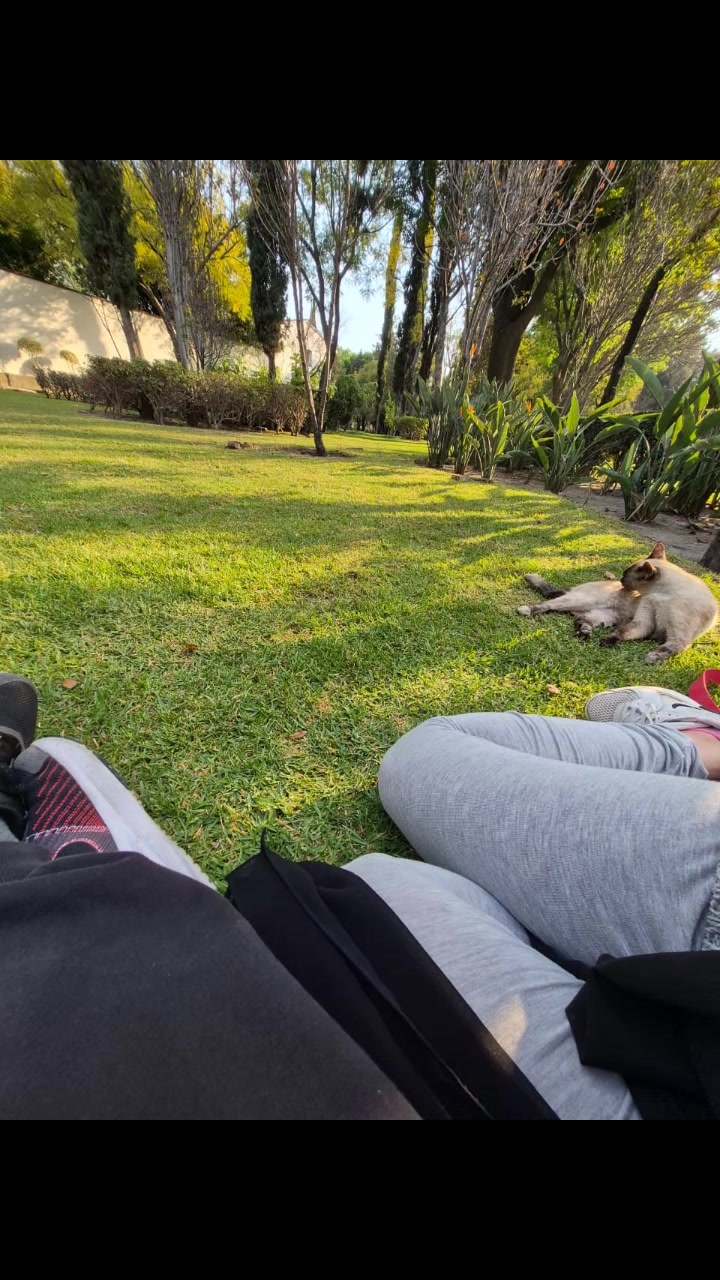 @ZXimena