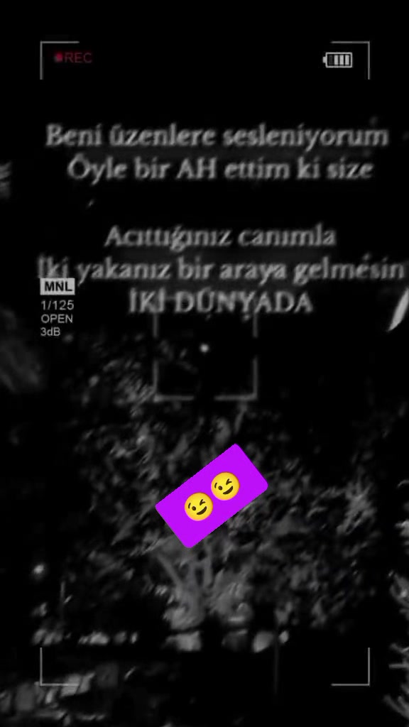 @58_Sevil