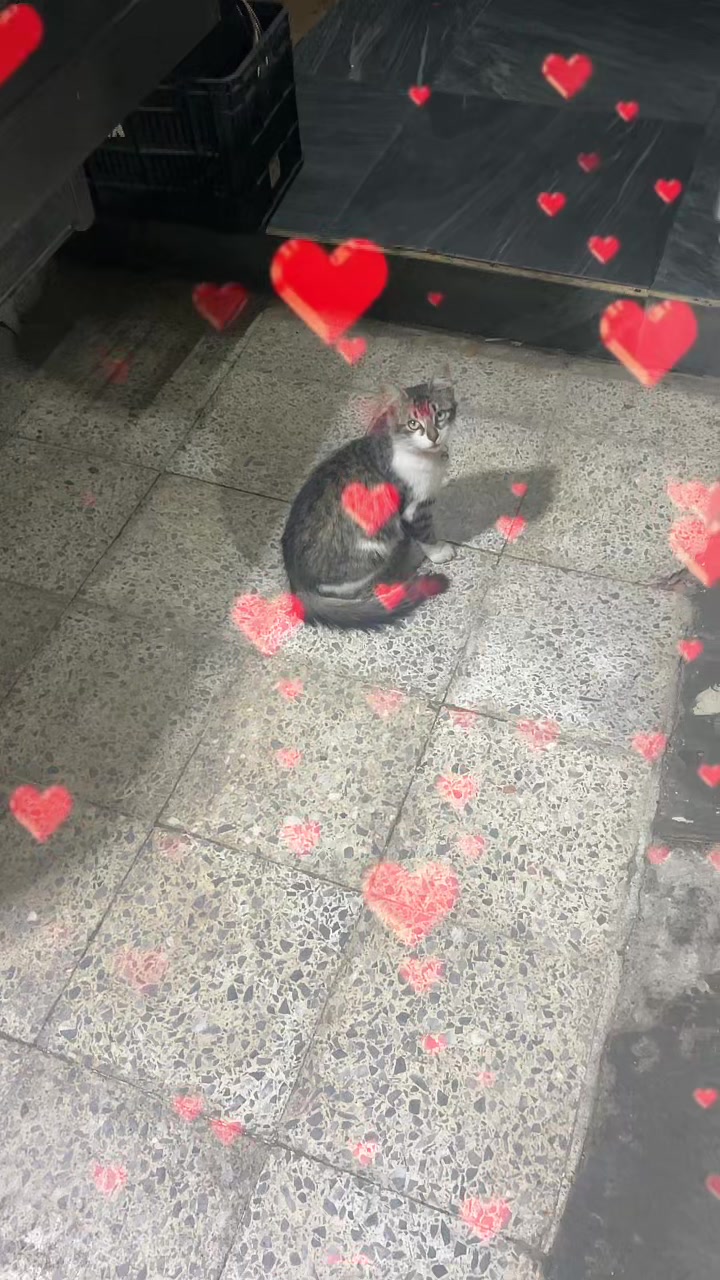 @maluca