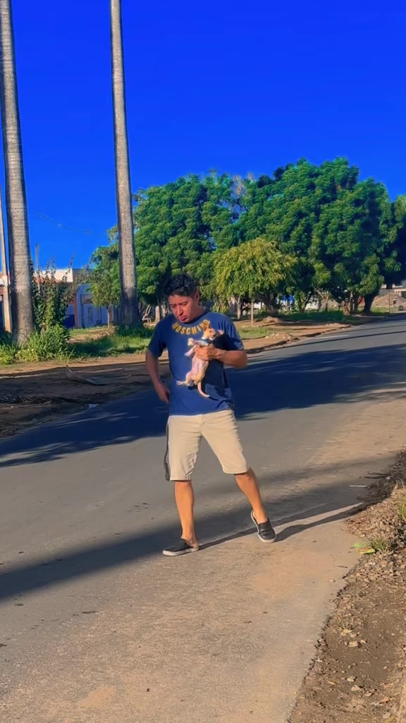 @Zé bebinho da mamãe oficial
