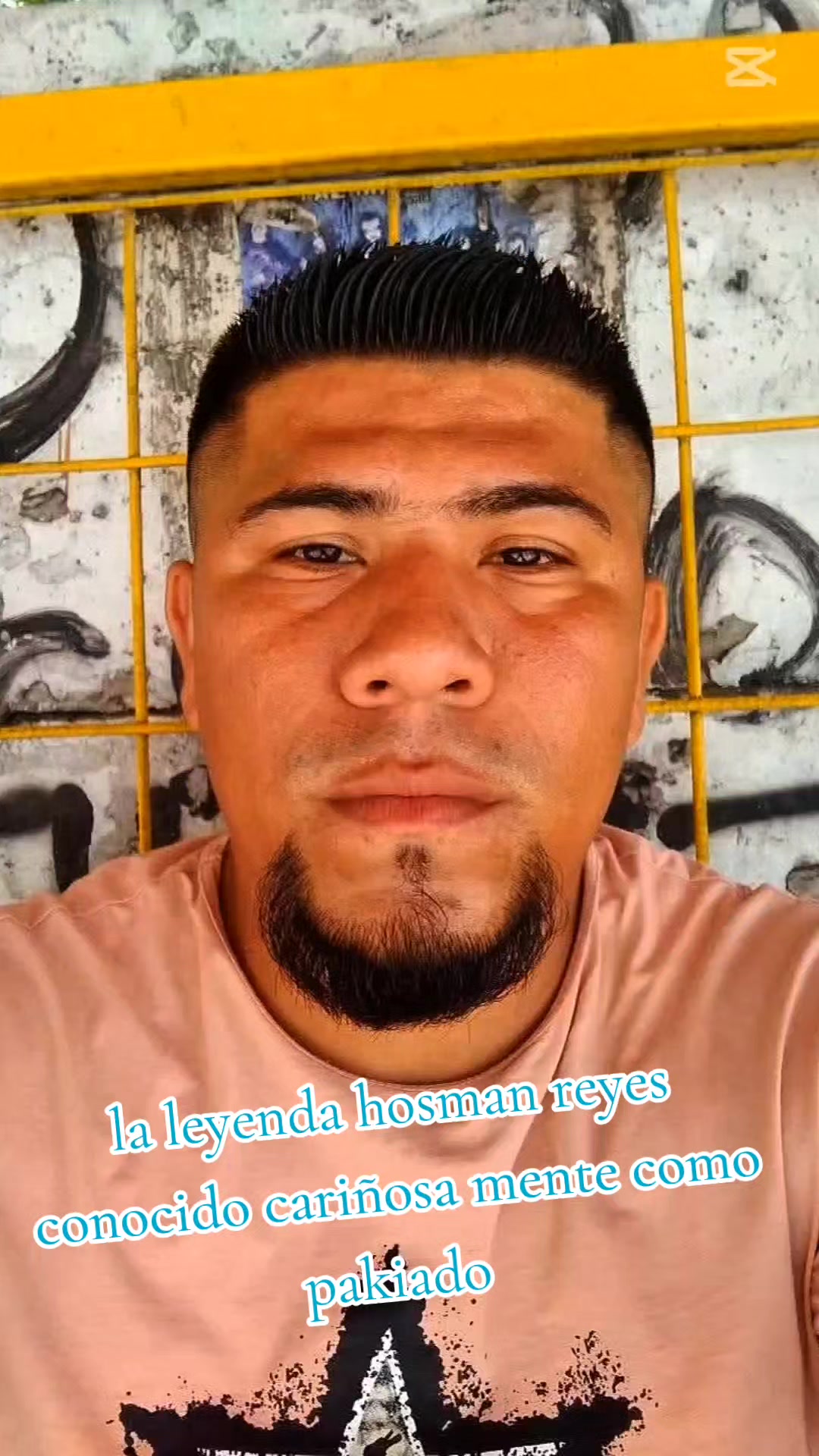 @el venado 505