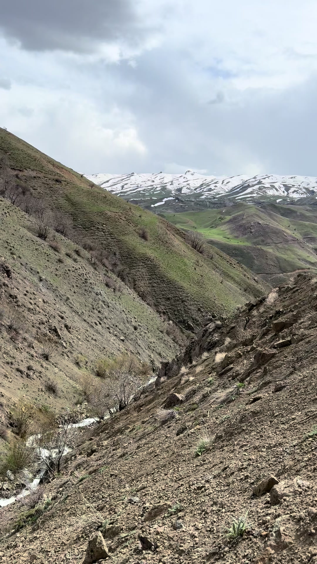 @Şilan karaman