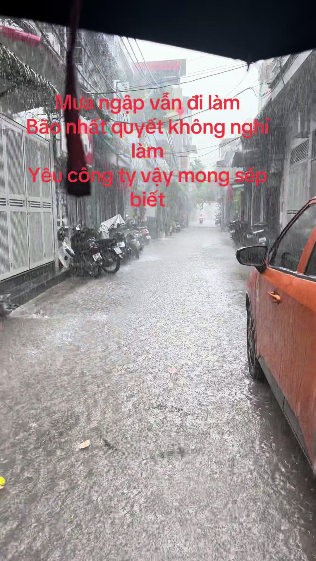 @Mẹ Của Gấu Heo