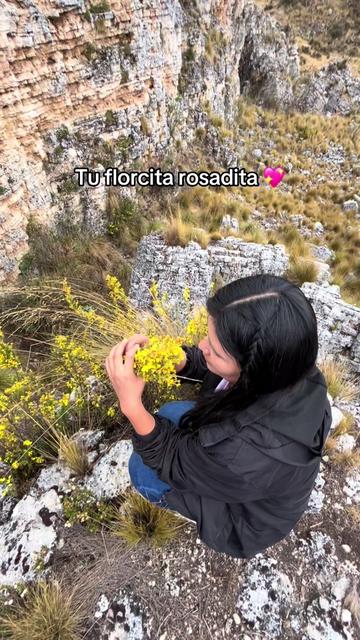 @🦋Silvanitha🌻🇵🇪
