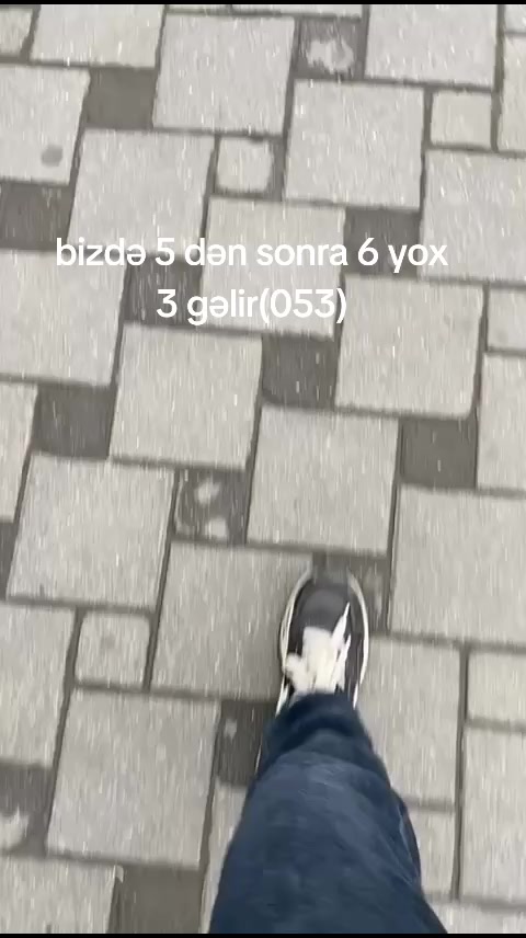 @Mr.kzmv🦂