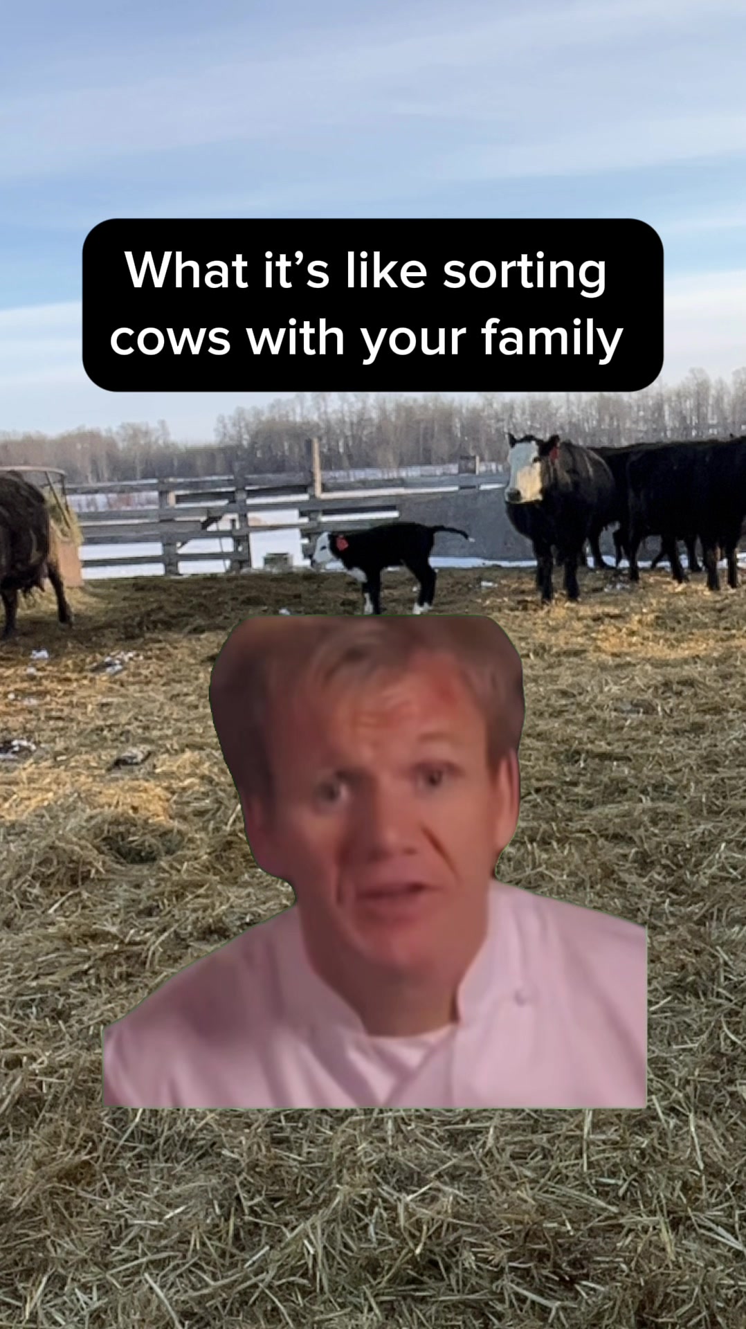 @Dusty Calhoun