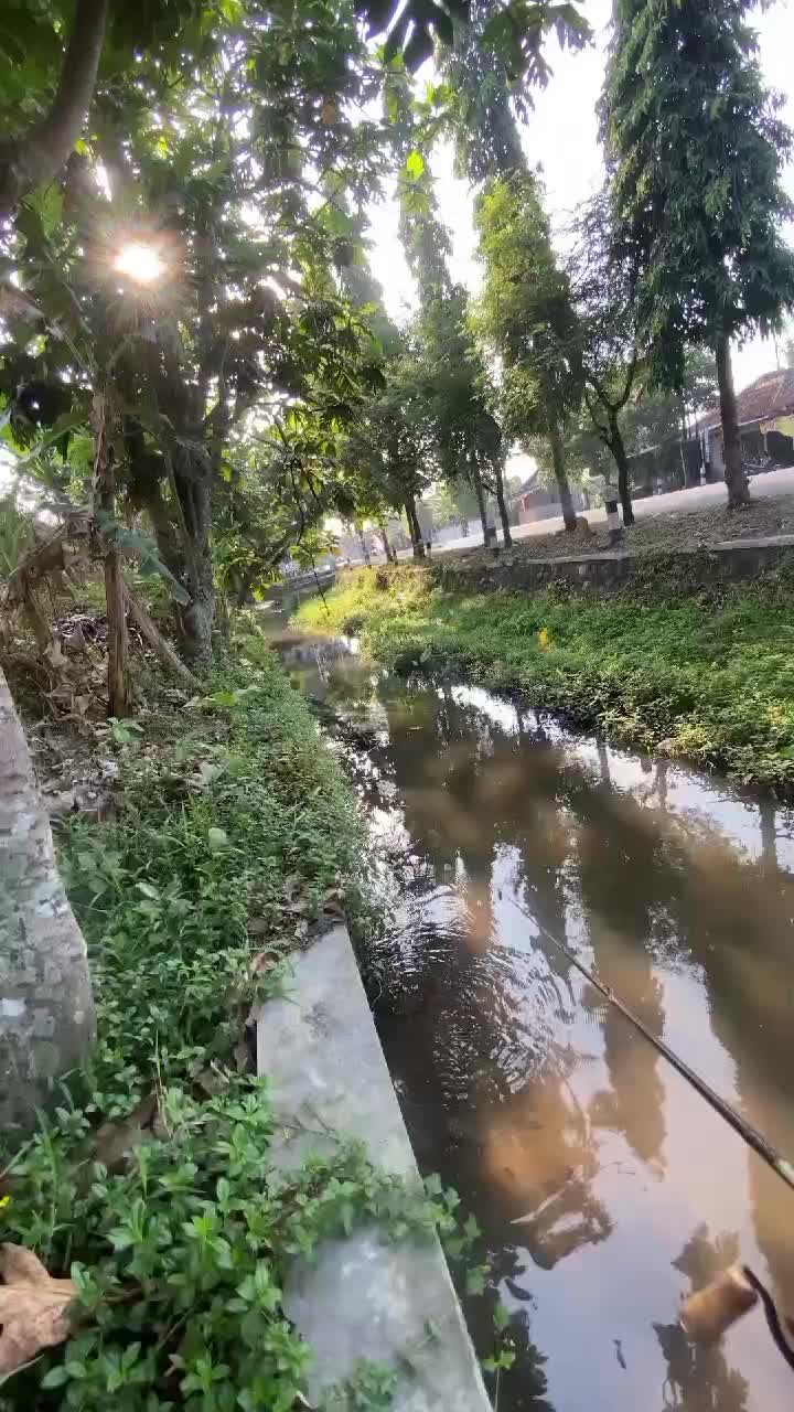 @Mancing selalu