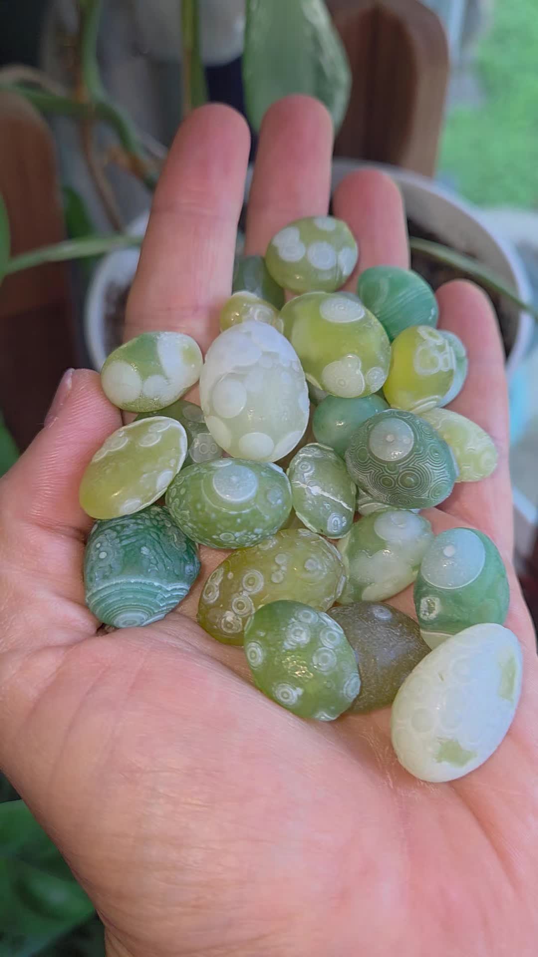 @The Crystal Frog Co.