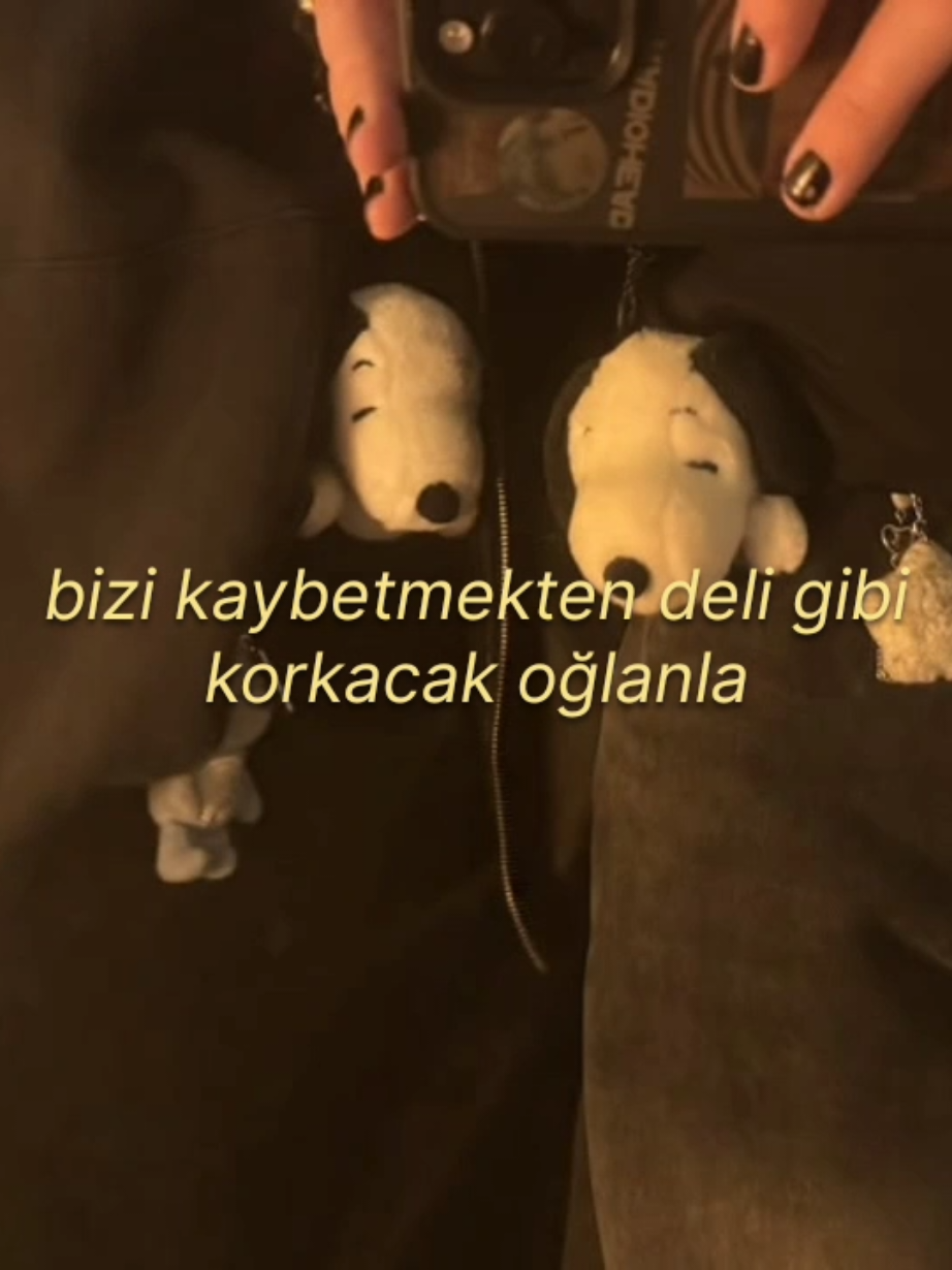 @🐚