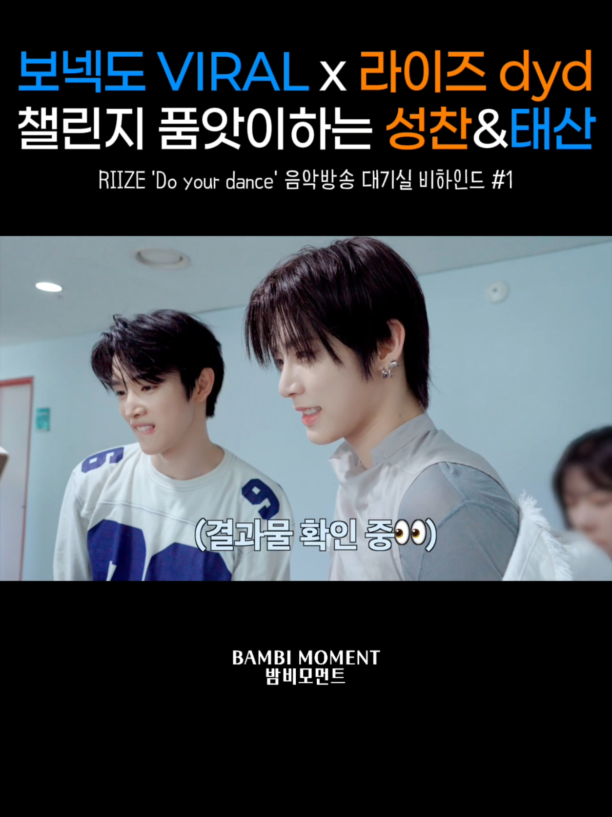 @밤비모먼트 Bambi Moment