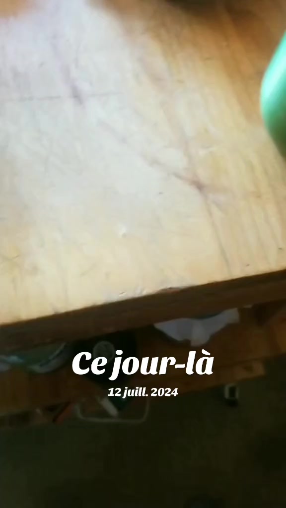 @EL DiC des bois🔥🐔🐓🦌🐏🐐🦌