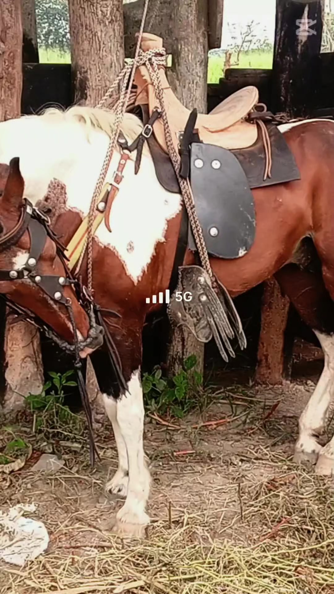 @Jean🤠