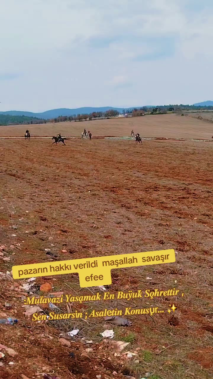 @H&uuml;seyin.cıbır