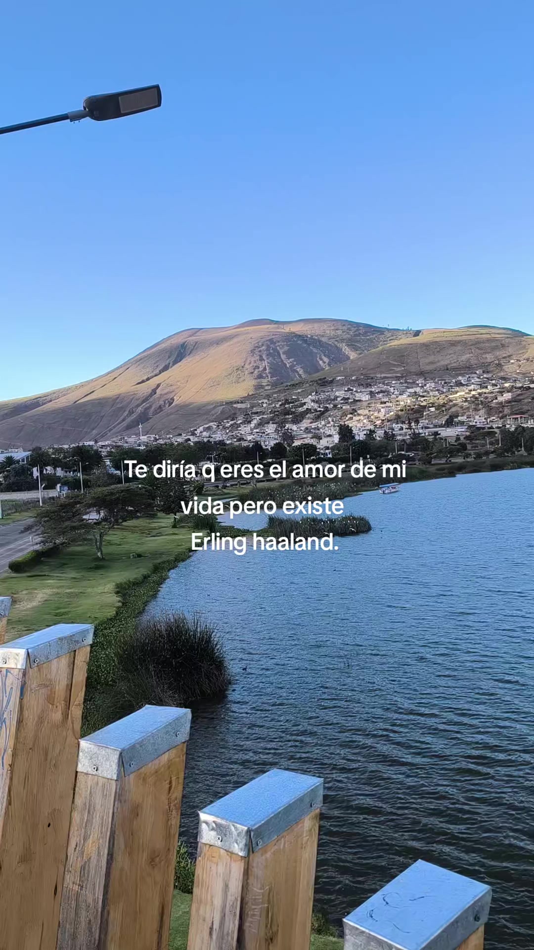 @Dulce Alexiita