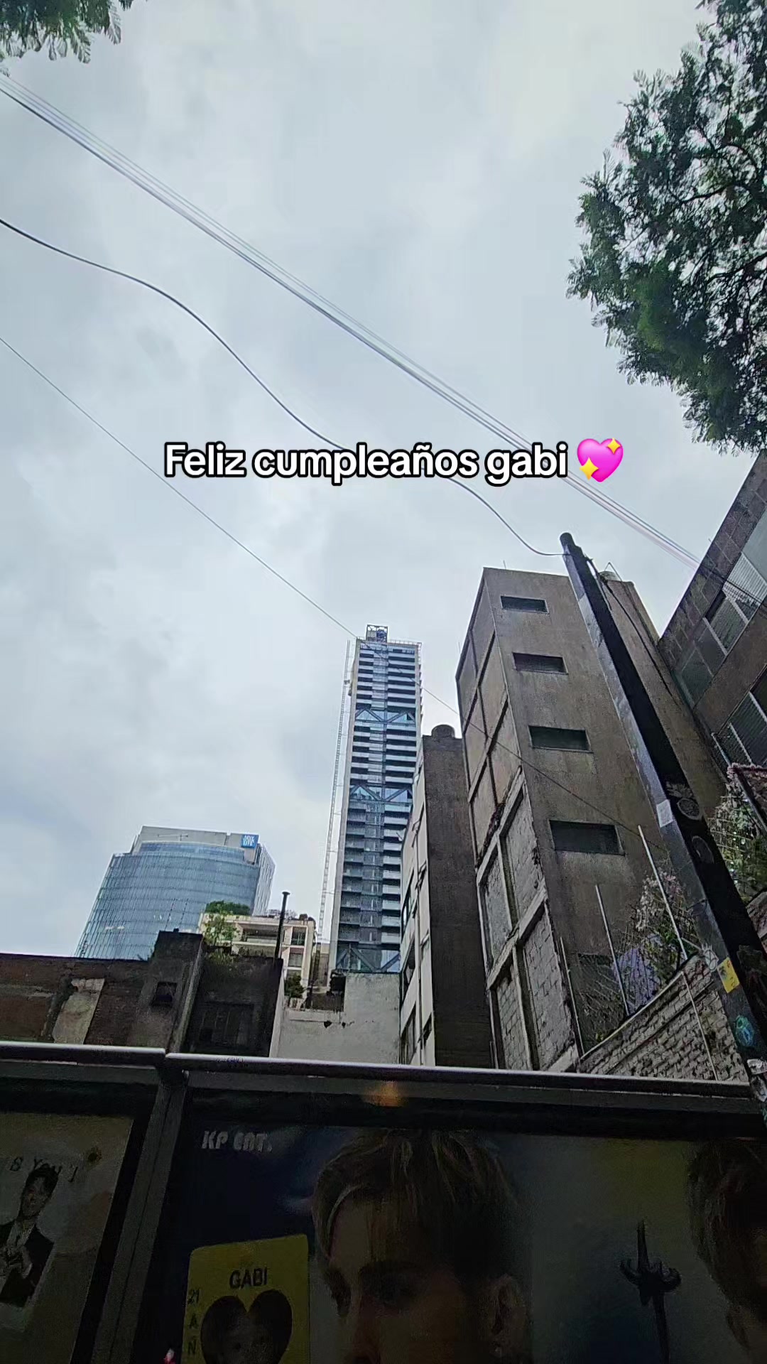 @ElyReal_ID✨️