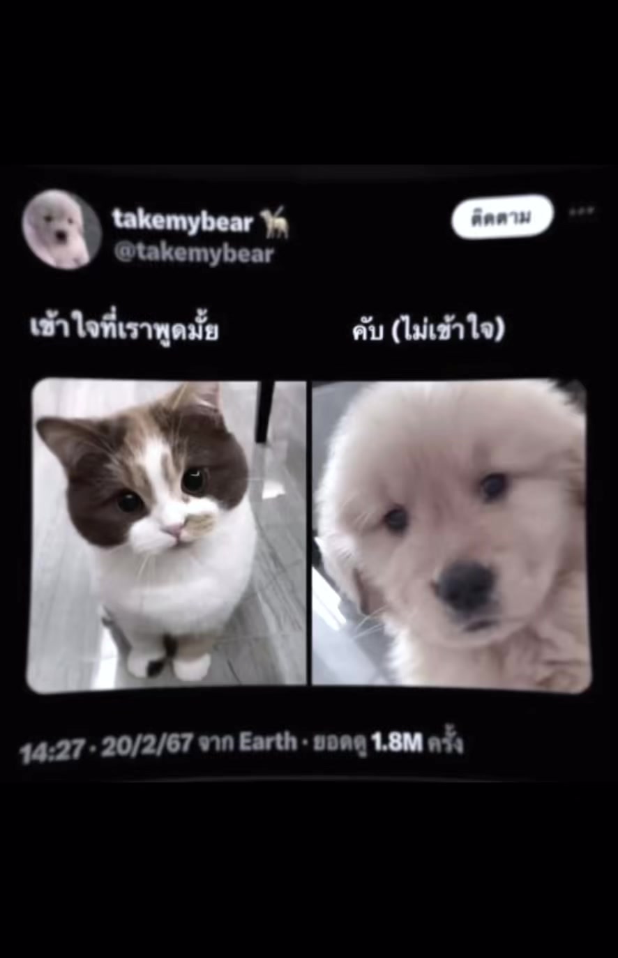 @yayee921