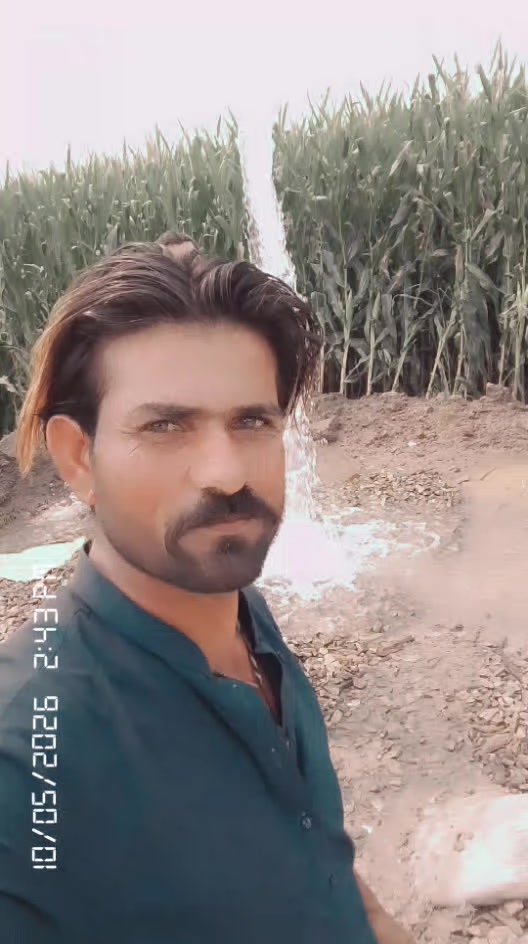 @Talib Sindhi