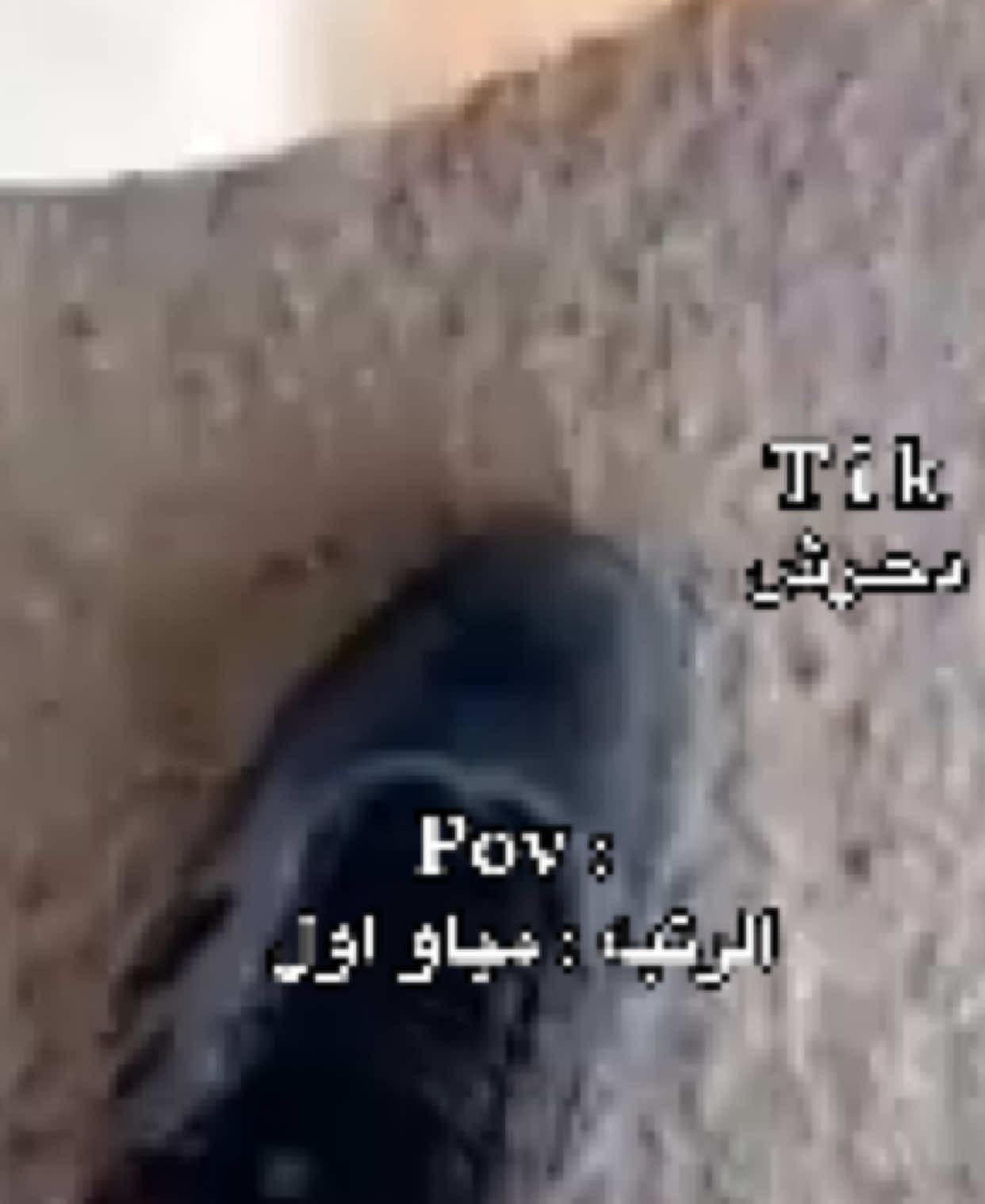 @دحرش | ضحك 😂