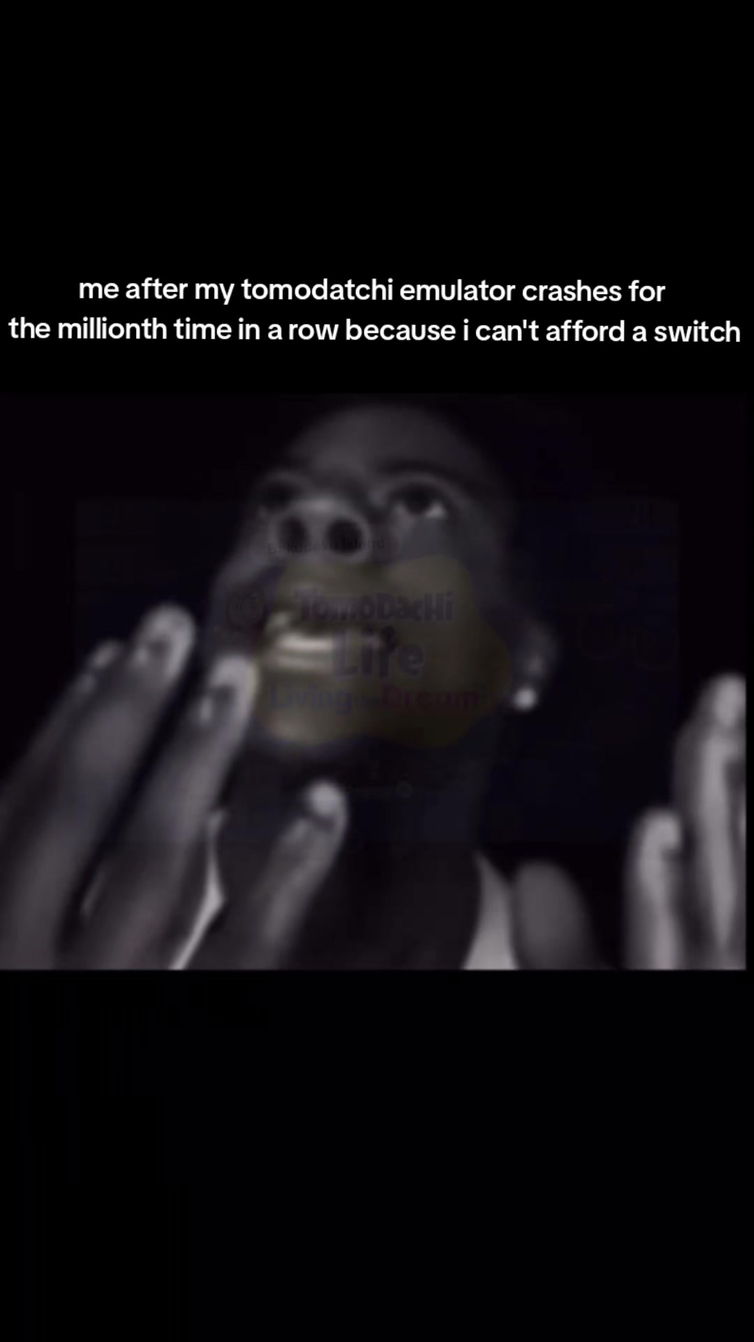 @𝐒𝐡𝐚𝐳𝐳 .ᐟ