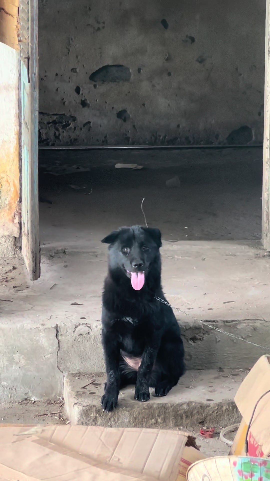 @Khi N&agrave;o Trắng Th&igrave; Đổi T&ecirc;n(Đen)