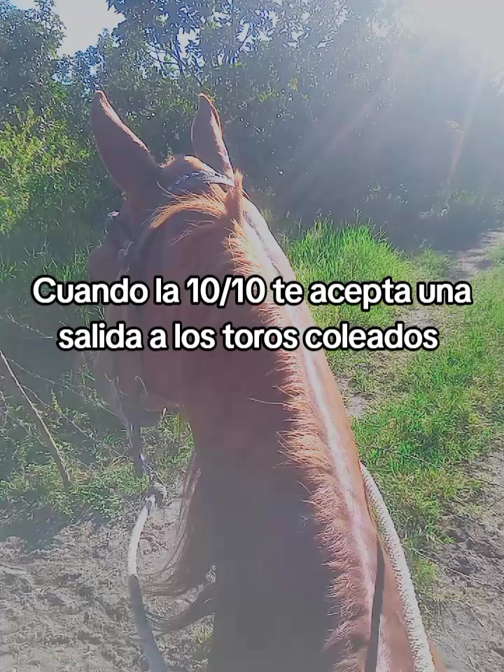 @Juan Anzola 🤠