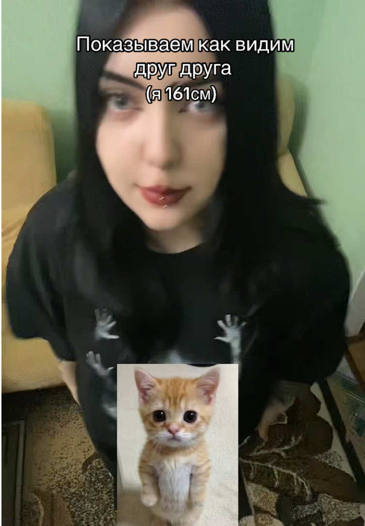 @тгк:козерог
