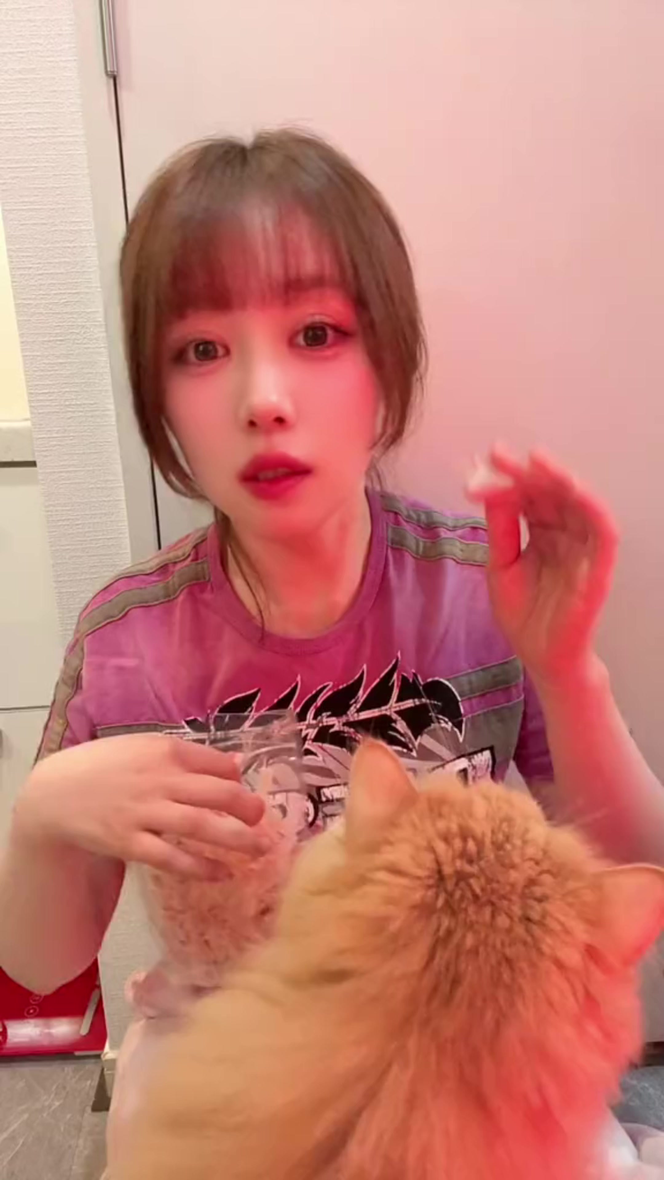 @nyamura_san