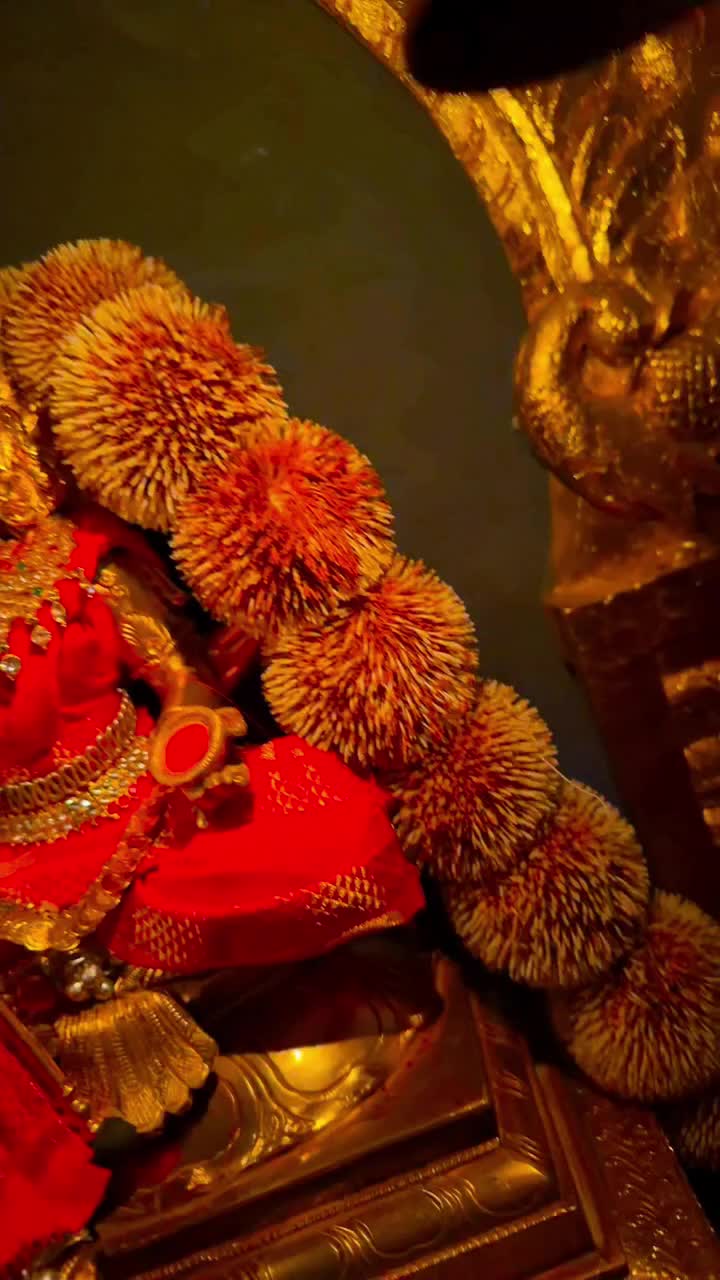 @Yogam Collection Resources