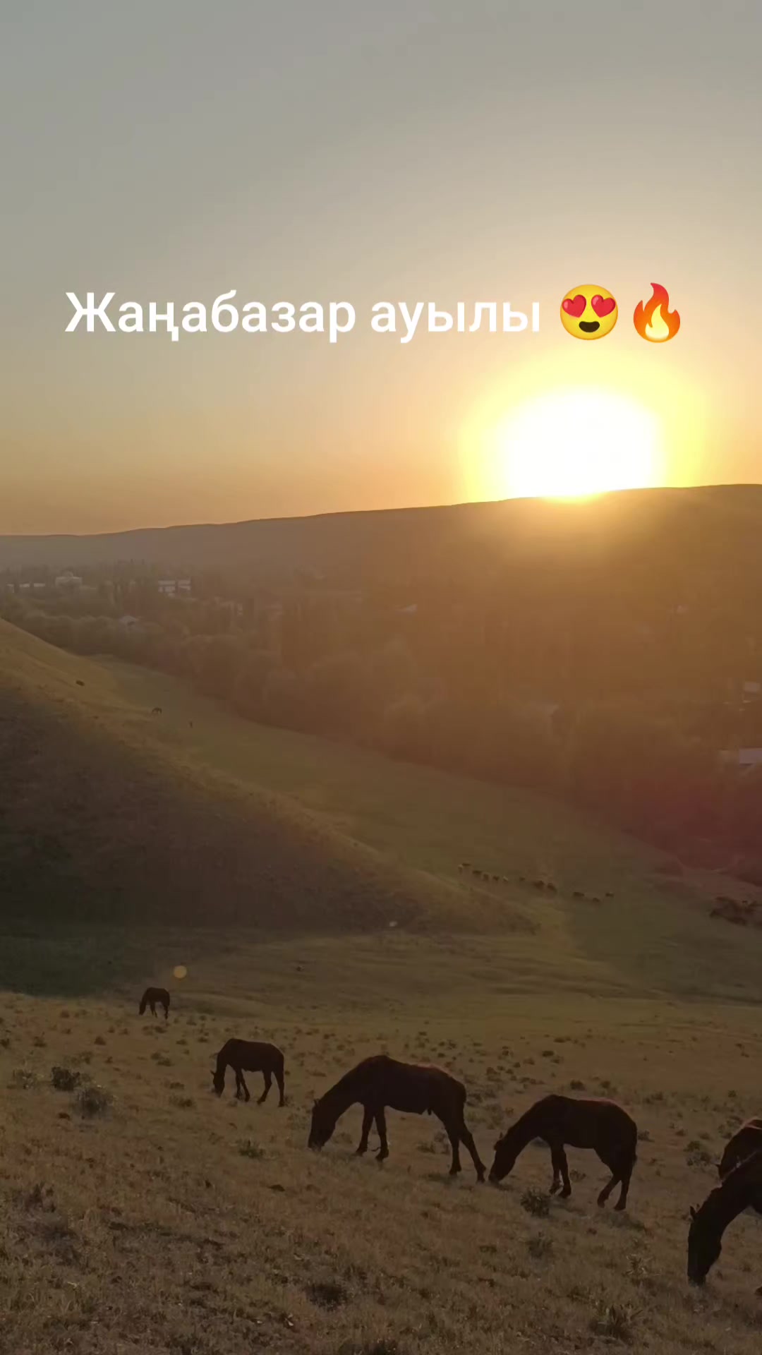 @maga_suan