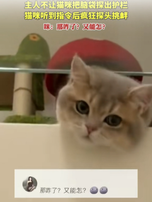 @闽南风~