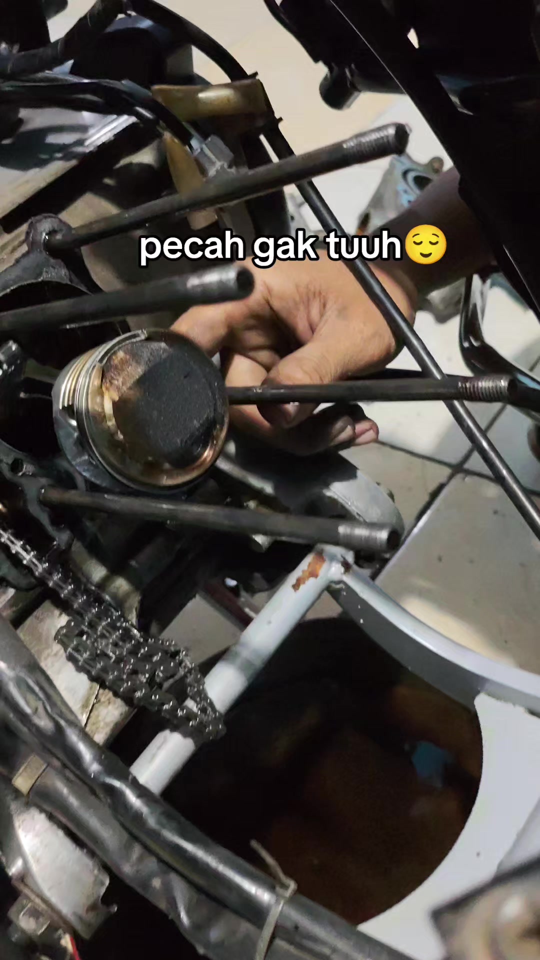 @𝐕𝐫ⓘ𝐬